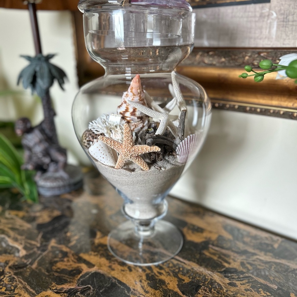 Elegant Glass Vase with Seashell Accents